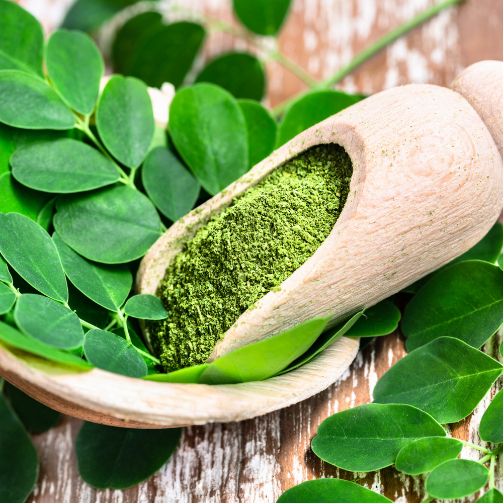 Unlocking the Superpowers of Moringa: A Deep Dive into Its Nutritional Benefits